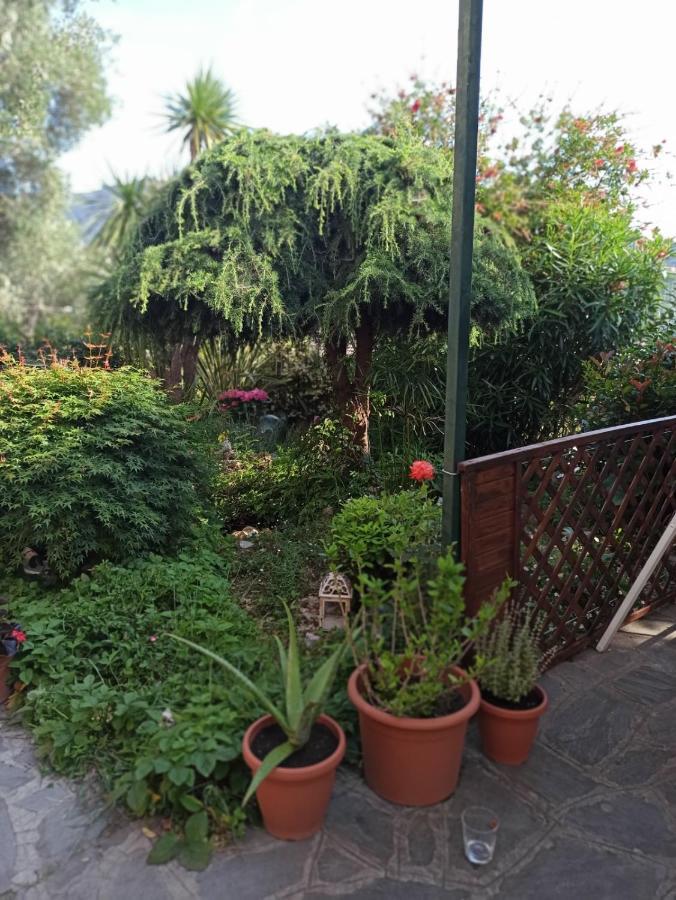 Il Glicine Cozy Appartamnent, Near Sestri Levante Between Cinque Terre E Portofino Casarza Ligure Luaran gambar