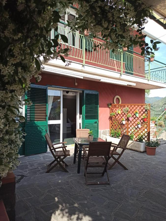 Il Glicine Cozy Appartamnent, Near Sestri Levante Between Cinque Terre E Portofino Casarza Ligure Luaran gambar
