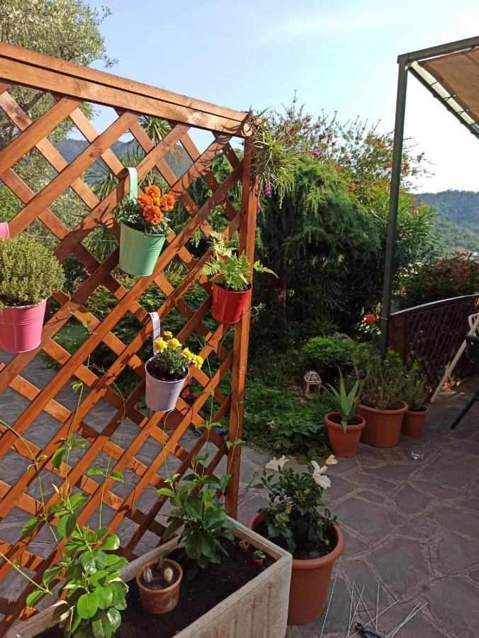 Il Glicine Cozy Appartamnent, Near Sestri Levante Between Cinque Terre E Portofino Casarza Ligure Luaran gambar